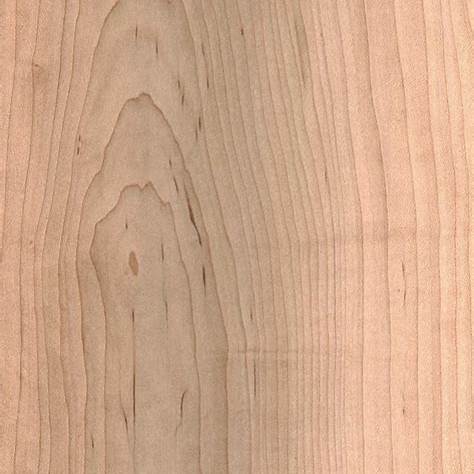 Choosing the Ideal Wood for String Instrument Bridges 8 Sugar Maple Board focus