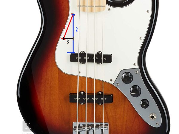 Thumb rest measurements
