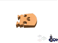 dr G Violin Bridge Cutted Model