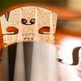 Wood for String Instrument Bridges Wood for String Instrument Bridges